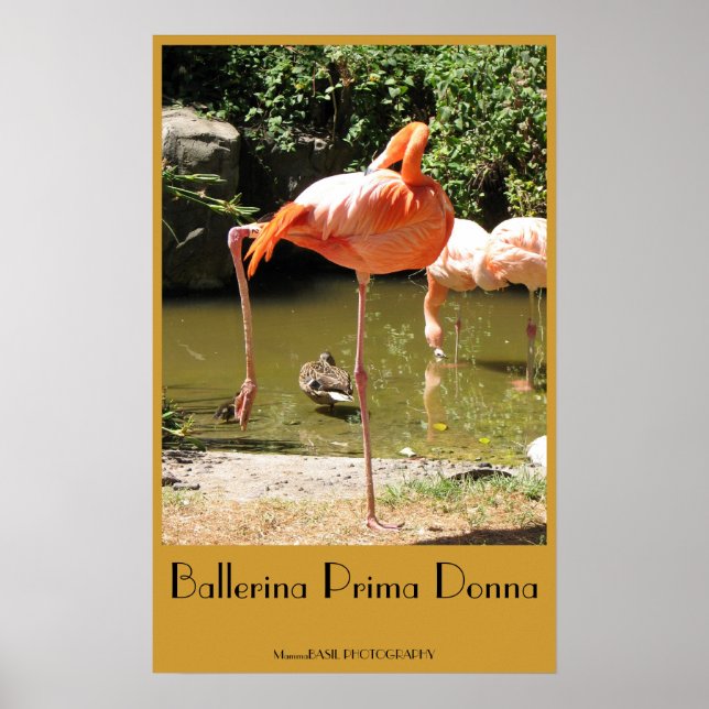 Ballerina Prima Donna Poster! Poster (Framsidan)