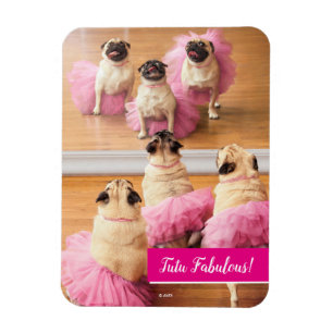 Ballerina Pugs i Tutus Magnet