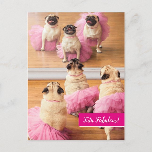 Ballerina Pugs in Tutus Inbjudan Vykort (Framsida)