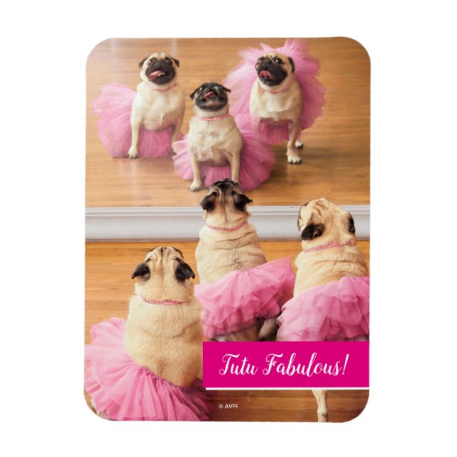 Ballerina Pugs in Tutus Magnet (Vertikal)