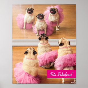Ballerina Pugs in Tutus Poster