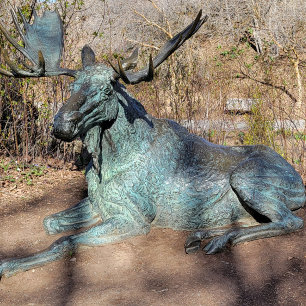 Ballerina & Robot T-shirt