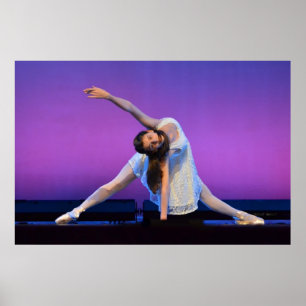 Ballerinaaffisch Poster