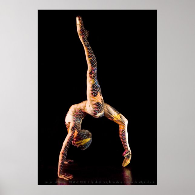 Ballet Dancer-4567XLG Poster (Framsidan)