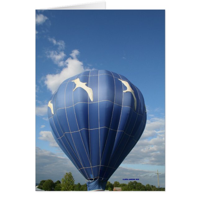 Ballon! Fiskmås Hälsningskort (Framsidan)
