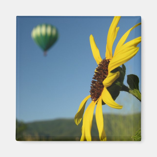 Ballon Magnet (Framsidan)