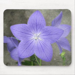 Ballongblomma Mousepad Musmatta