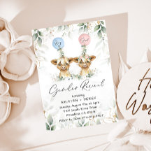 Ballonsinbjudan om avvisning av Gender för högland