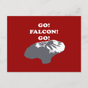 Balloon Boy - Go Falcon Go Vykort