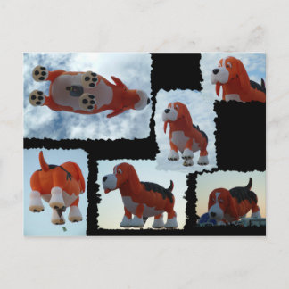 Balloon Fiesta Hund Vykort