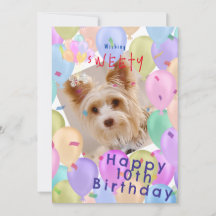 Balloon Pet Pastel Photo