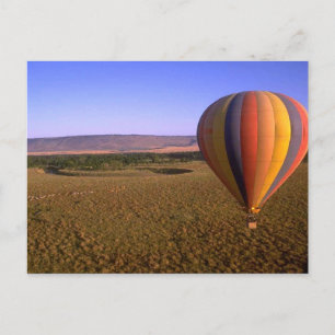 Balloon Ride Vykort