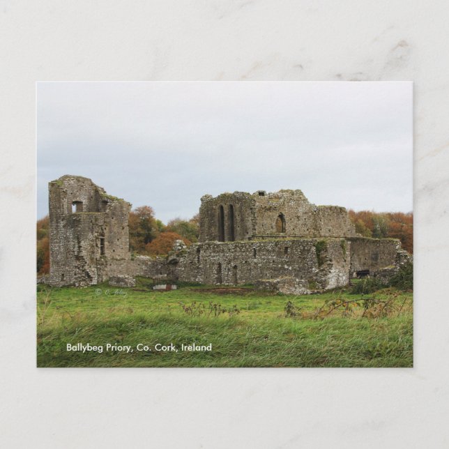 Ballytigen Priory, Irland Postcard Vykort (Framsida)