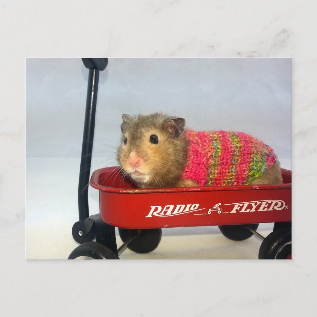 Baloo Goes för en Wagon Ride Vykort (Framsida)