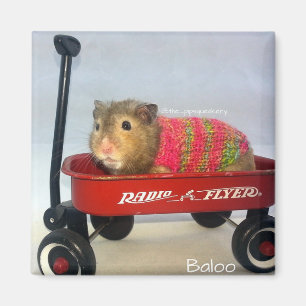 Baloo i hans röda vagn magnet