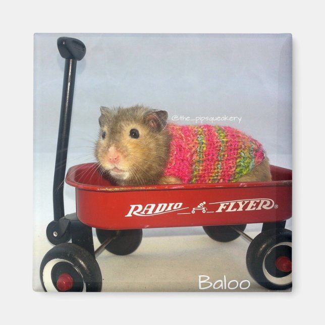 Baloo i hans röda vagn magnet (Framsidan)