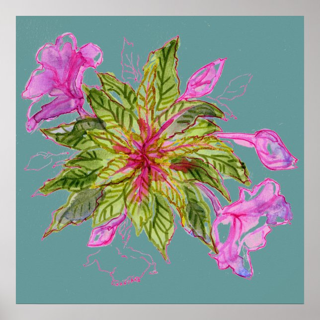Balsam Bouquet Poster (Framsidan)
