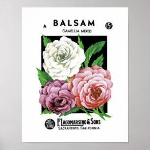 Balsam kärnar ur paketetiketten poster