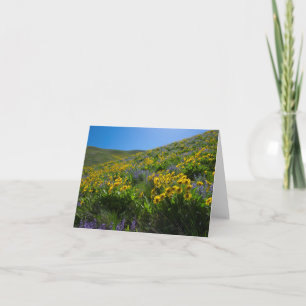 Balsam och Lupine Superbloom blank Kort