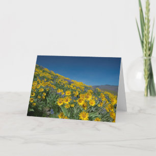 Balsamroot-blocket tomt kort