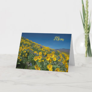 Balsamroot bloom Mors dag Kort