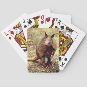 Bältdjurvilddjur Casinokort