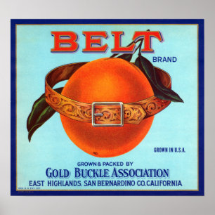 Bälte Brand California Oranges Poster