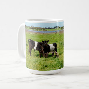 Bältesgallowaykor i landsbygd  kaffemugg