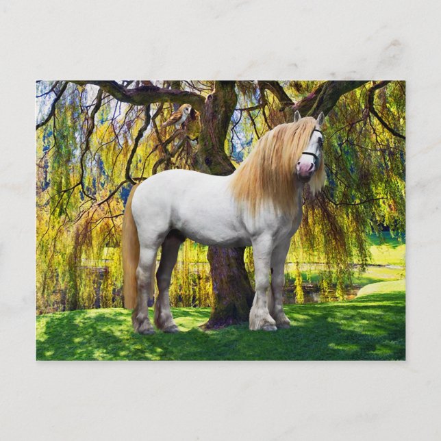 "Balthasar" vykort (Framsida)