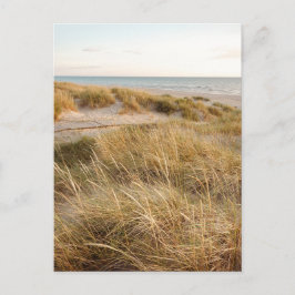 Baltic sea beach in Liepaja, Latvia Vykort
