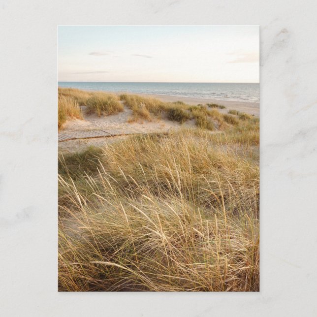 Baltic sea beach in Liepaja, Latvia Vykort (Framsida)
