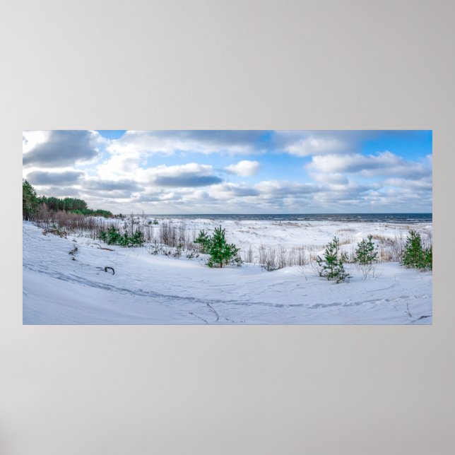 Baltic sea coast covered in snow in winter poster (Framsidan)
