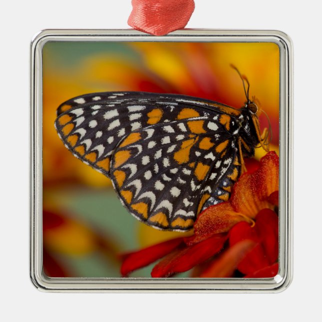 Baltimokontrollerad fjäril julgransprydnad metall (Framsidan)