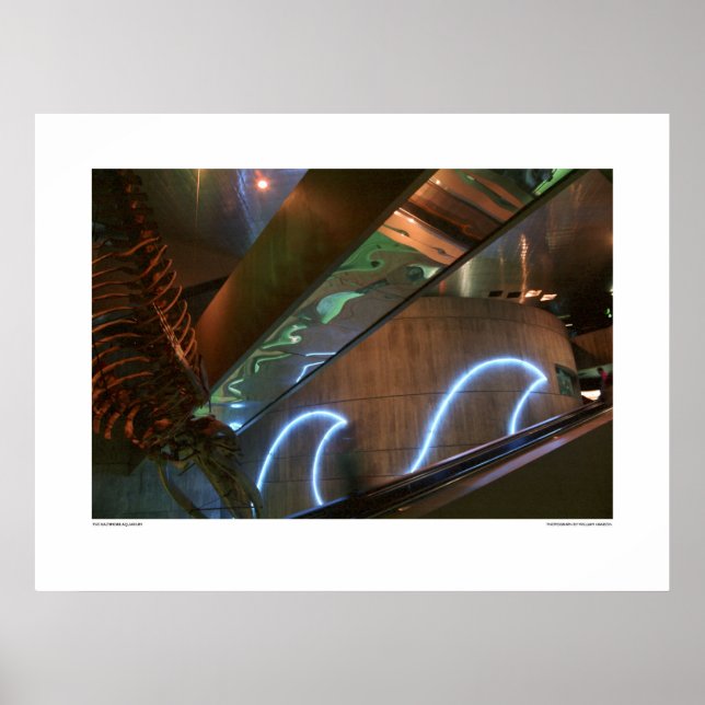 Baltimore Aquarium Poster (Framsidan)