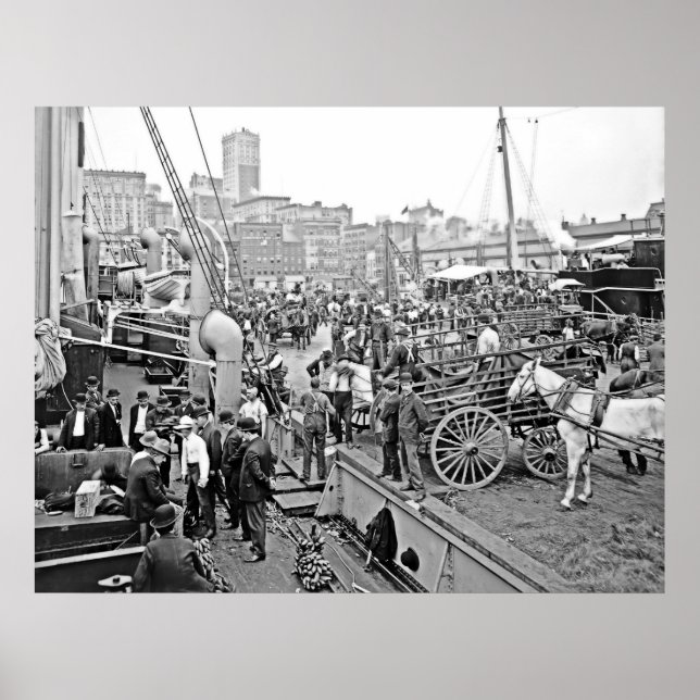 Baltimore Banana Boats Poster (Framsidan)