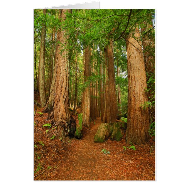 Baltimore Canyon Hälsningskort (Framsidan)