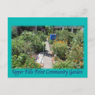 Baltimore Green Space UFPIA postcard Vykort