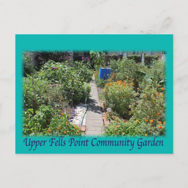 Baltimore Green Space UFPIA postcard Vykort (Framsida)