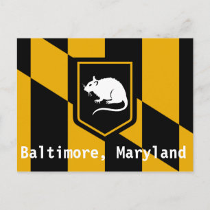 Baltimore Maryland Vykort