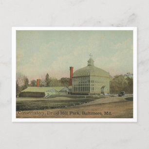 Baltimore MD Druid Backe Park Conservatory 1910 Vykort