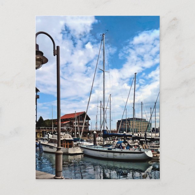 Baltimore MD - Marina Nära Fells Point Vykort (Framsida)