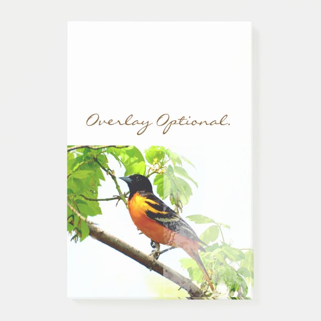 Baltimore Oriole 1 Post-it Block (Framsida)