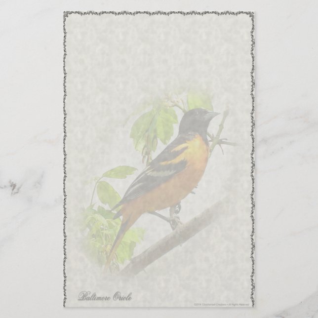 Baltimore Oriole anpassningsbarbrevpapper Brevpapper (Framsida)