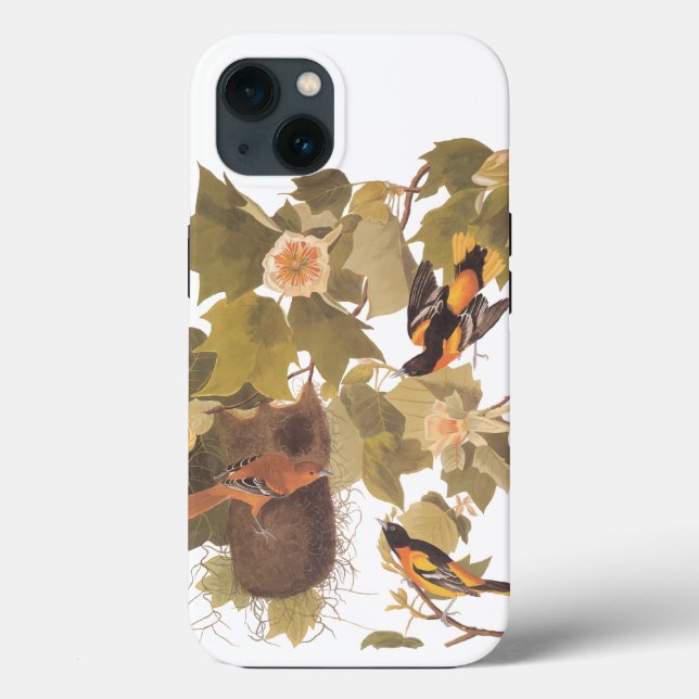 Baltimore Oriole Audubon Bird Family med bo (Baksida)
