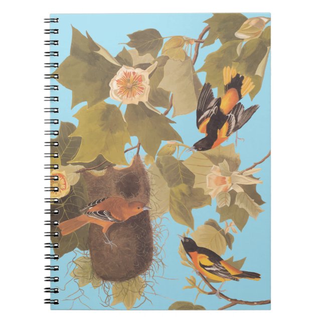 Baltimore Oriole Audubon Bird Family med bo Anteckningsbok (Framsidan)