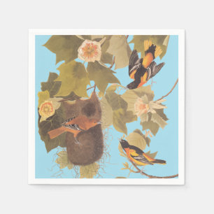 Baltimore Oriole Audubon Bird Family med bo Pappersservett