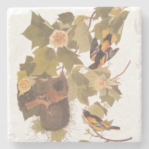 Baltimore Oriole Audubon Bird Family med bo Stenunderlägg