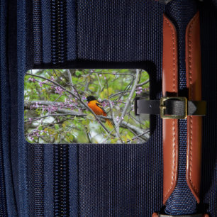 Baltimore Oriole Bagagebricka