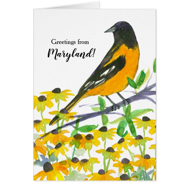 Baltimore Oriole Bird Maryland Souvenir Hälsningskort (Framsidan)