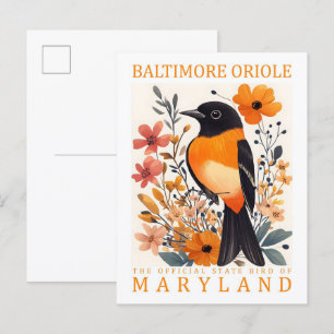 Baltimore Oriole Bird of Maryland USA Travel Vykort